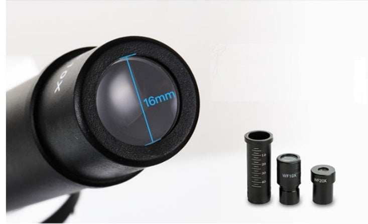 Microscopio 40x-1,600x