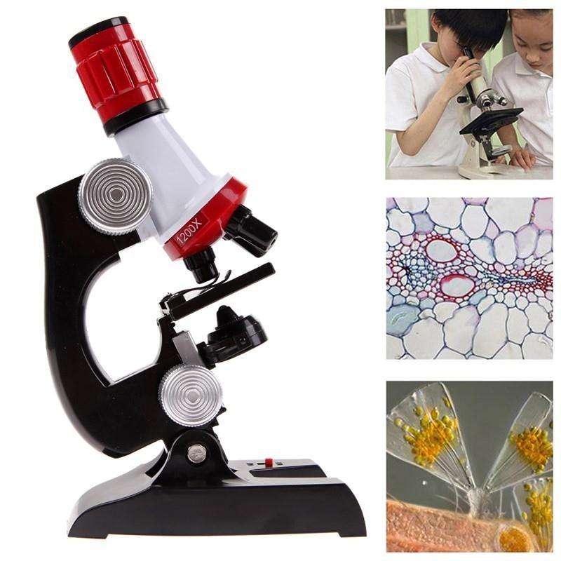 Microscopio escolar 100-1200x