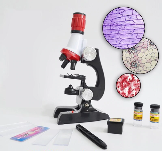 Microscopio escolar 100-1200x